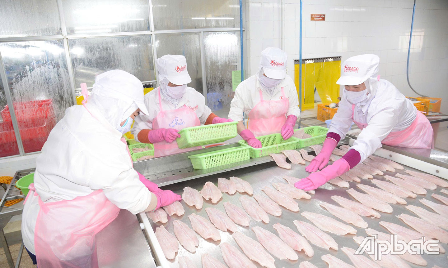 Khu vực KTTN của tỉnh có sự phát triển về số lượng lẫn chất lượng trong thời gian qua.