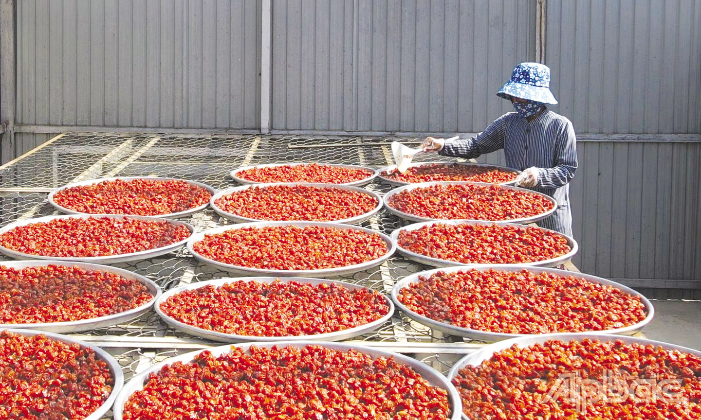 Sơ chế sơ ri để làm mứt tại HTX Bình Ân, huyện Gò Công Đông.