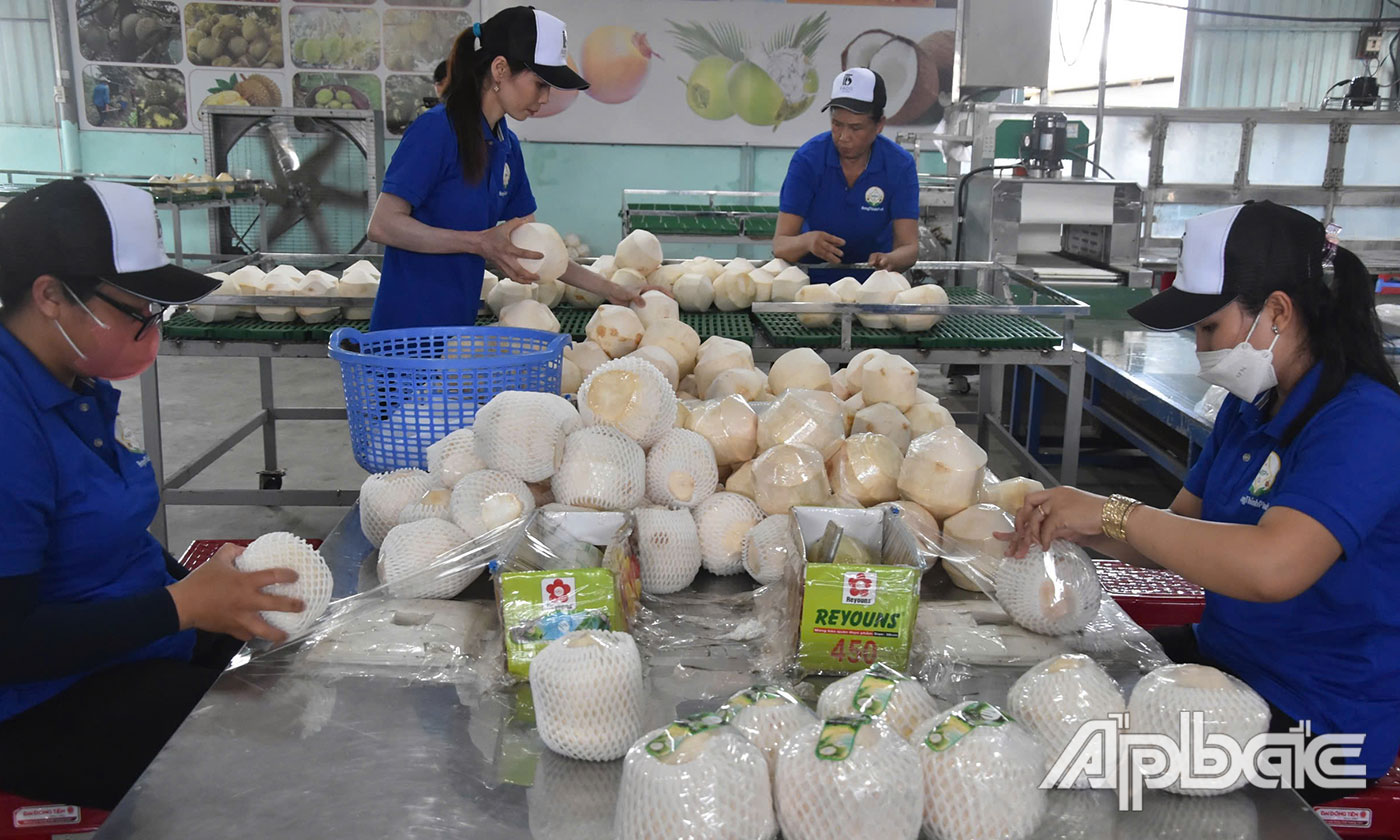 Tập trung phát triển kinh tế.