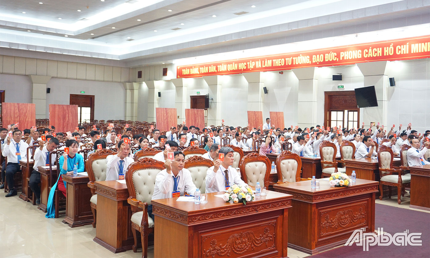 Đại biểu biểu quyết.