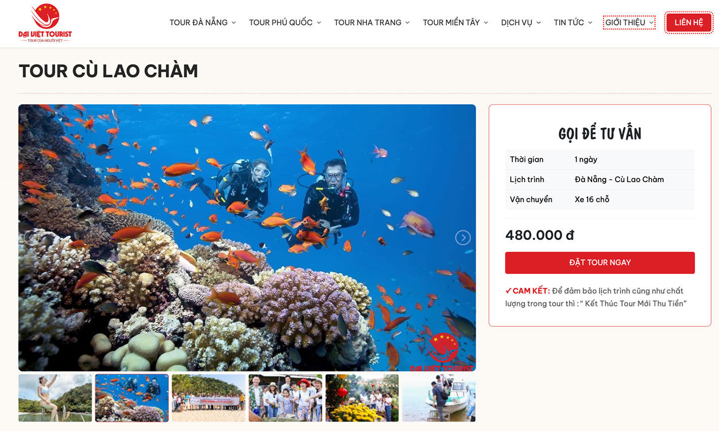 Du khách luôn lựa chọn đăng ký tour Cù Lao Chàm tại Đại Việt Tourist.