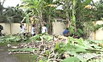 Đồng Tháp: Đoàn viên, thanh niên và học sinh ra quân giữ gìn vệ sinh môi trường
