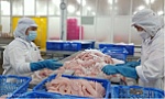 Trung Quốc vượt Mỹ thành nhà nhập khẩu thủy sản lớn nhất của Việt Nam