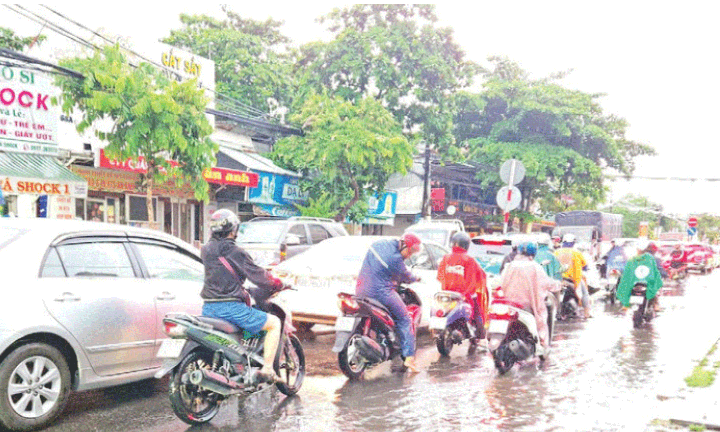 Cục Đường bộ Việt Nam làm chủ đầu tư Dự án 3 tuyến Quốc lộ kết nối vùng Đồng bằng sông Cửu Long