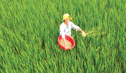 Giá vật tư nông nghiệp tiếp tục tăng nhẹ trong 10 ngày đầu tháng 7
