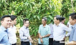 Đồng Tháp: Khi nông dân vận dụng tư duy kinh doanh vào sản xuất