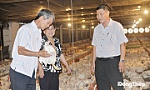 Thành công với mô hình  