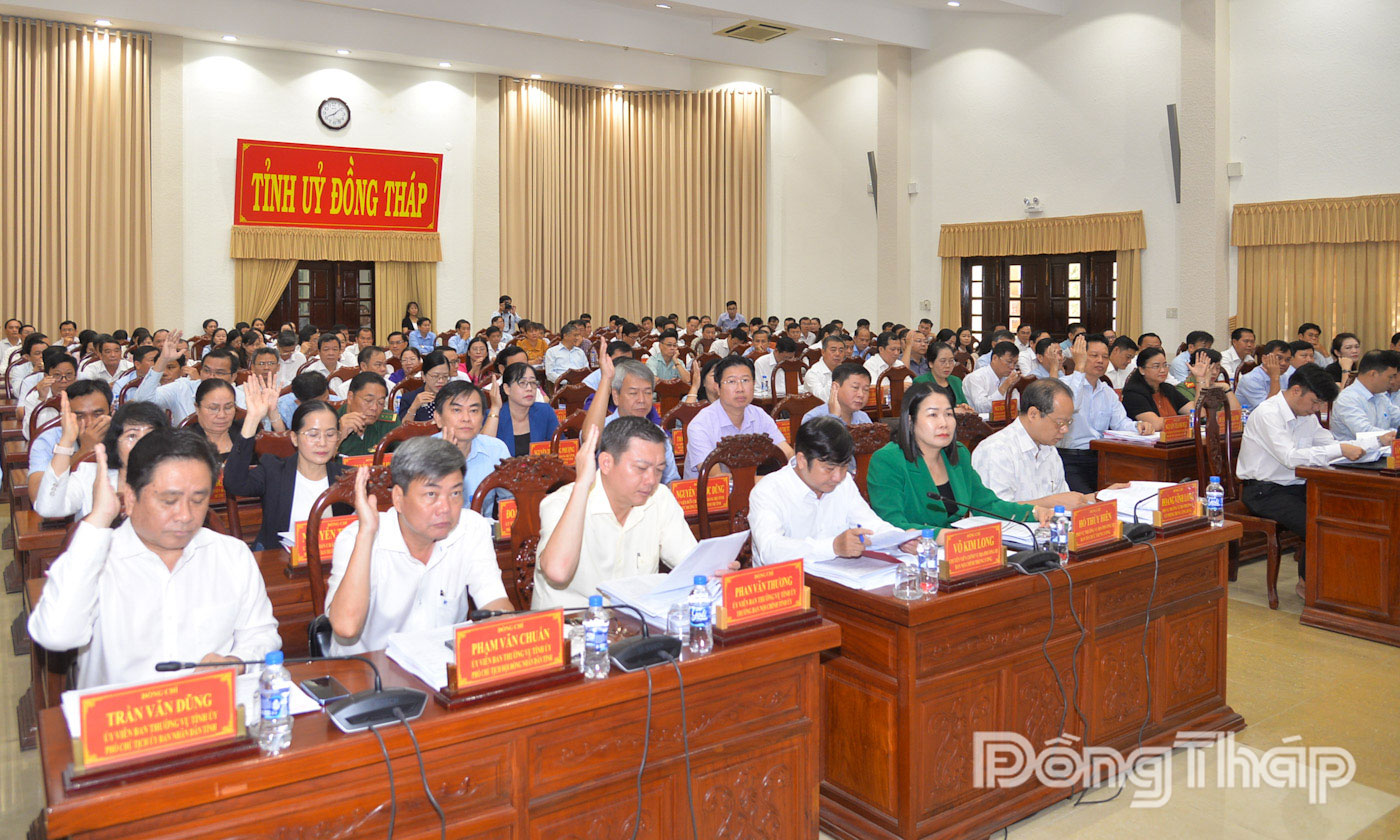 Các đại biểu biểu quyết ý kiến tại hội nghị.